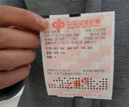 布鲁伊全集免费观看