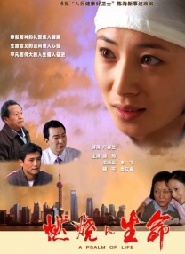 金银战袍