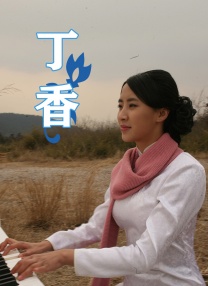伊人网在线播放