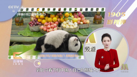 我漂亮的姐姐